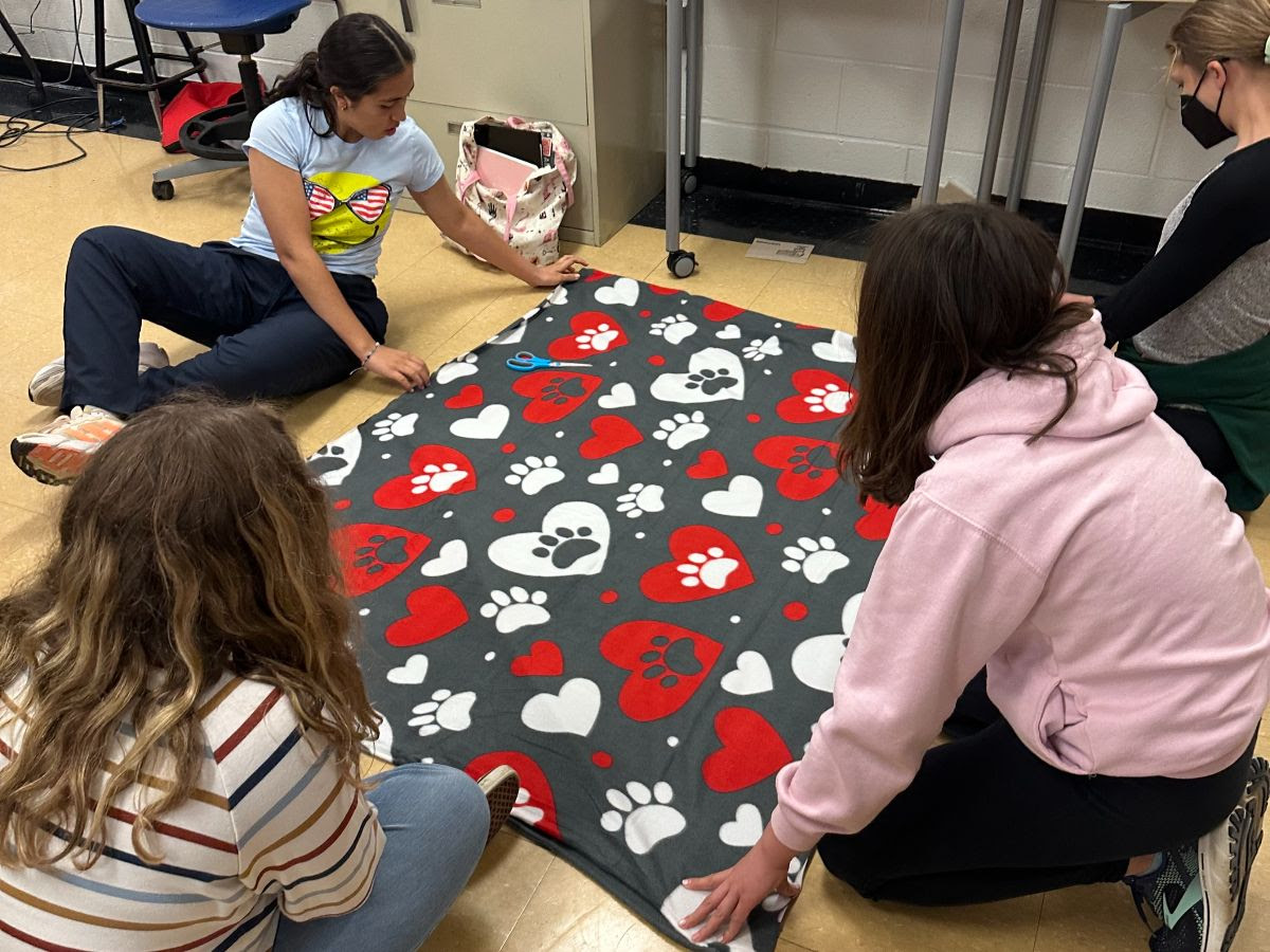 Participants creating dog toys